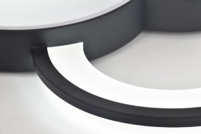 Потолочная люстра Rivoli Aliona Б0066452 в Талице - talica.ok-mebel.com | фото 10
