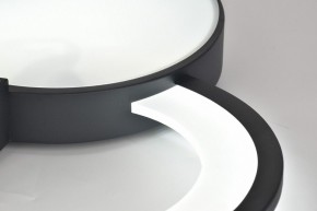 Потолочная люстра Rivoli Aliona Б0066452 в Талице - talica.ok-mebel.com | фото 11