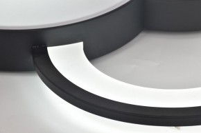 Потолочная люстра Rivoli Aliona Б0066452 в Талице - talica.ok-mebel.com | фото 12