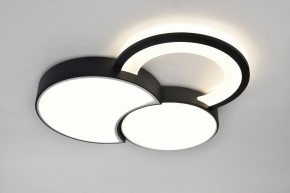 Потолочная люстра Rivoli Aliona Б0066452 в Талице - talica.ok-mebel.com | фото 7