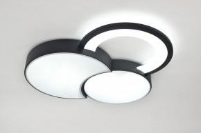 Потолочная люстра Rivoli Aliona Б0066452 в Талице - talica.ok-mebel.com | фото 8