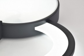 Потолочная люстра Rivoli Aliona Б0066452 в Талице - talica.ok-mebel.com | фото 9