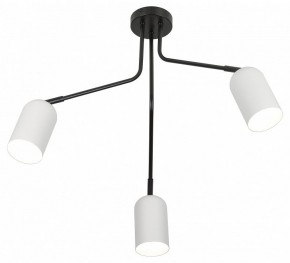 Потолочная люстра Rivoli Rosalinda Б0064987 в Талице - talica.ok-mebel.com | фото 4
