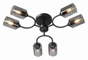 Потолочная люстра Vitaluce V2823 V2823-1/6PL в Талице - talica.ok-mebel.com | фото 2