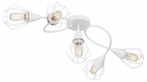 Потолочная люстра Vitaluce V3037 V3037-0/5PL в Талице - talica.ok-mebel.com | фото