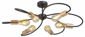 Потолочная люстра Vitaluce V3076 V3076-1/6PL в Талице - talica.ok-mebel.com | фото 3