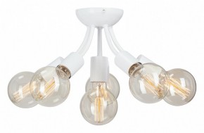 Потолочная люстра Vitaluce V3927 V3927-0/6PL в Талице - talica.ok-mebel.com | фото