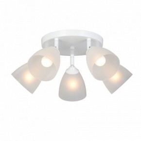 Потолочная люстра Vitaluce V4355 V4355-0/5PL в Талице - talica.ok-mebel.com | фото 2