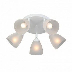 Потолочная люстра Vitaluce V4355 V4355-0/5PL в Талице - talica.ok-mebel.com | фото 3