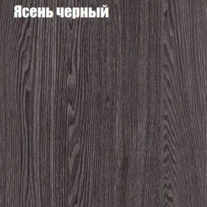 Прихожая ДИАНА-4 сек №3 (Ясень анкор/Дуб эльза) в Талице - talica.ok-mebel.com | фото 3