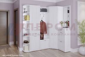 Прихожая Карина композиция 5 (Снежный ясень) в Талице - talica.ok-mebel.com | фото