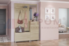 Прихожая Мелисса композиция 8 (Ясень Асахи) в Талице - talica.ok-mebel.com | фото 1