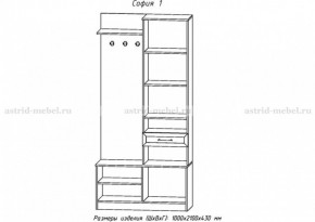 Прихожая София 1 в Талице - talica.ok-mebel.com | фото 2