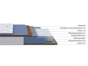 PROxSON Матрас Active Duo M/F (Ткань Трикотаж Эко) 80x195 в Талице - talica.ok-mebel.com | фото 2