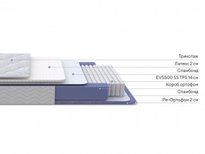 PROxSON Матрас Active Duo S/F (Ткань Трикотаж Эко) 160x195 в Талице - talica.ok-mebel.com | фото