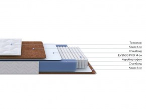 PROxSON Матрас Active F Roll (Ткань Трикотаж Эко) 80x195 в Талице - talica.ok-mebel.com | фото 2