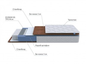 PROxSON Матрас Active F Roll (Ткань Трикотаж Эко) 120x195 в Талице - talica.ok-mebel.com | фото 7