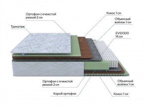 PROxSON Матрас Green M (Tricotage Dream) 120x190 в Талице - talica.ok-mebel.com | фото 8