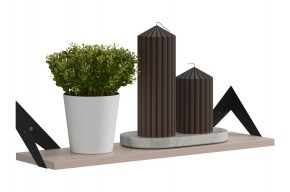 РИЧ Полка навесная в Талице - talica.ok-mebel.com | фото 3