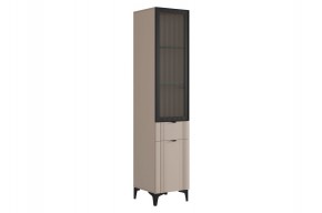 РИЧ Шкаф однодверный со стеклом в Талице - talica.ok-mebel.com | фото