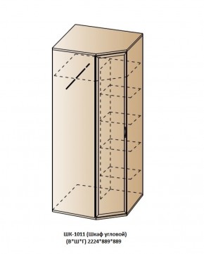 ШК-1011 (Шкаф угловой) в Талице - talica.ok-mebel.com | фото
