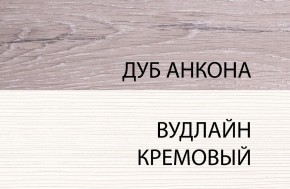 Шкаф 1D, OLIVIA, цвет вудлайн крем/дуб анкона в Талице - talica.ok-mebel.com | фото 3