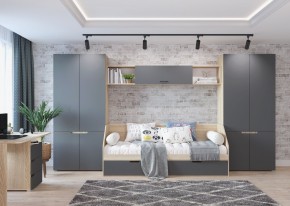 Шкаф 2-х створчатый АНТАЛИЯ (Сонома/Графит софт) в Талице - talica.ok-mebel.com | фото 3