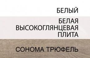 Шкаф 2D/TYP 20A, LINATE ,цвет белый/сонома трюфель в Талице - talica.ok-mebel.com | фото 4