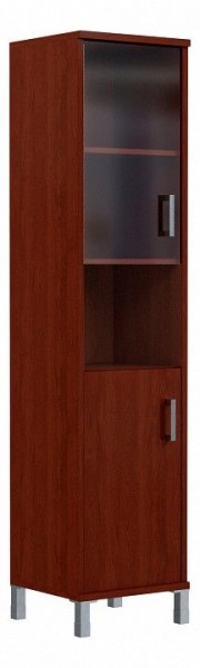 Шкаф комбинированный Born B 431.10(R) в Талице - talica.ok-mebel.com | фото