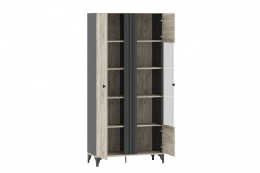 Шкаф комбинированный НМ 040.10 "Отис" в Талице - talica.ok-mebel.com | фото 2