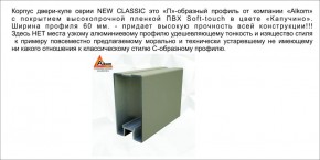 Шкаф-купе 1500 серии NEW CLASSIC K3+K3+B2+PL1 (2 ящика+1 штанга) профиль «Капучино» в Талице - talica.ok-mebel.com | фото 5