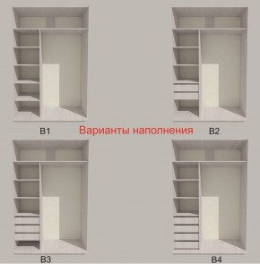 Шкаф-купе 1700 серии SILVER S4+S3Z+B2+PL1 (2 ящика+1 штанга) профиль «Серебро» в Талице - talica.ok-mebel.com | фото 5