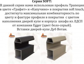 Шкаф-купе 1800 серии SOFT D1+D3+B2+PL1 (2 ящика+1штанга) профиль «Графит» в Талице - talica.ok-mebel.com | фото 11