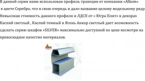 Шкаф-купе 2250 серии SILVER S3+S1+S3Z B22+PL2 (по 2 ящика лев/прав+1штанга+1 полка) профиль «Серебро» в Талице - talica.ok-mebel.com | фото 4