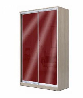 Шкаф-купе ХИТ 22-12/2-22 (620) в Талице - talica.ok-mebel.com | фото 7
