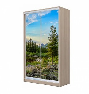 Шкаф-купе ХИТ 22-4-12/2-77 (420) в Талице - talica.ok-mebel.com | фото 12