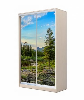 Шкаф-купе ХИТ 22-4-12/2-77 (420) в Талице - talica.ok-mebel.com | фото 14