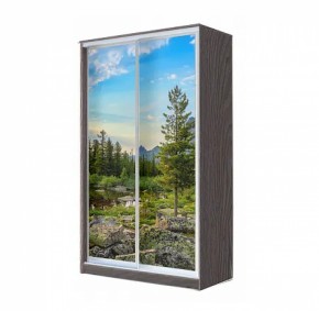 Шкаф-купе ХИТ 22-4-12/2-77 (420) в Талице - talica.ok-mebel.com | фото 10