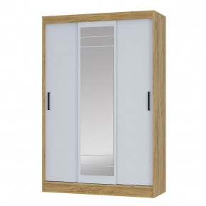 Шкаф-купе Тео ШКК-02 (крафт/белый) в Талице - talica.ok-mebel.com | фото 2