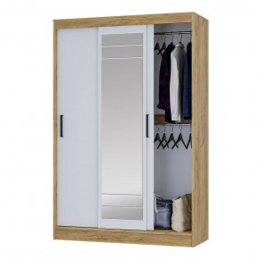 Шкаф-купе Тео ШКК-02 (крафт/белый) в Талице - talica.ok-mebel.com | фото 3