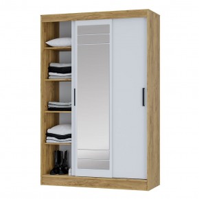 Шкаф-купе Тео ШКК-02 (крафт/белый) в Талице - talica.ok-mebel.com | фото 4