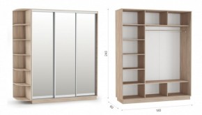 Шкаф-купе Тетрис 180/240 (ЗЗЗ) Дуб сонома в Талице - talica.ok-mebel.com | фото