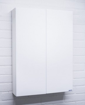 Шкаф модульный Норма 50 2 двери АЙСБЕРГ (DA1652H) в Талице - talica.ok-mebel.com | фото 5