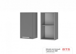 ШКАФ НАСТЕННЫЙ 1-ДВЕРНЫЙ 4В1 (400Х720Х310) КГ Крафт в Талице - talica.ok-mebel.com | фото