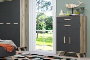 Шкаф низкий Вега Скандинавия в Талице - talica.ok-mebel.com | фото 8