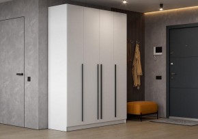 Шкаф платяной Бирма в Талице - talica.ok-mebel.com | фото 5