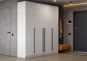 Шкаф платяной Бирма в Талице - talica.ok-mebel.com | фото 4