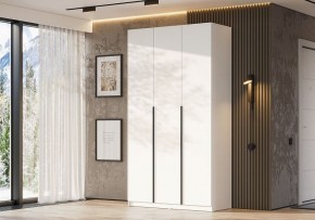 Шкаф платяной Даиго в Талице - talica.ok-mebel.com | фото 3