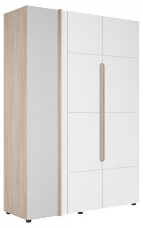 Шкаф платяной Данк в Талице - talica.ok-mebel.com | фото