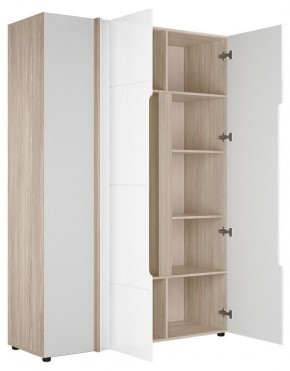 Шкаф платяной Данк в Талице - talica.ok-mebel.com | фото 2